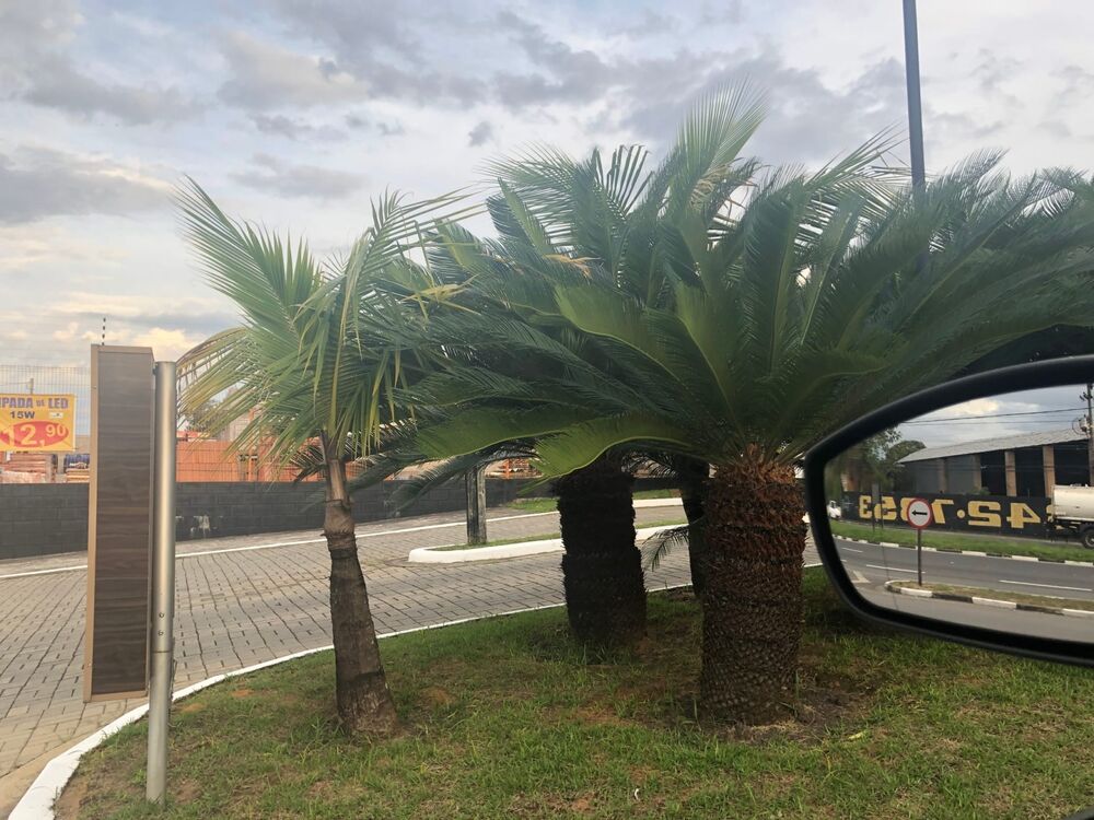 Apartamento, 2 quartos, 52 m² - Foto 5