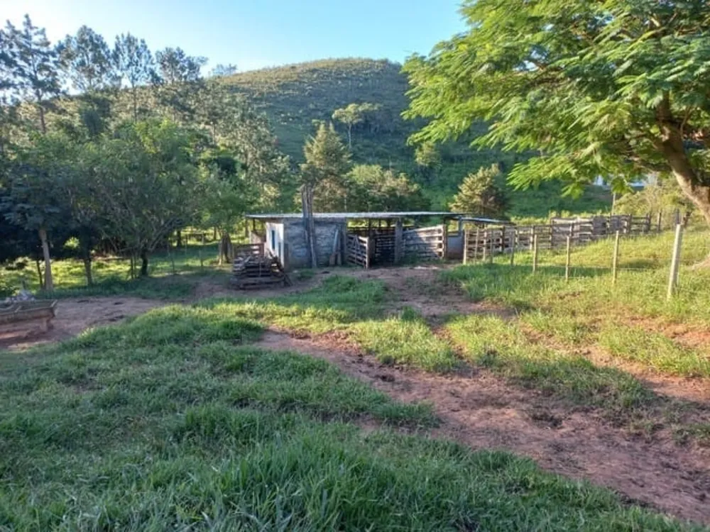 Terreno, 12 hectares - Foto 2