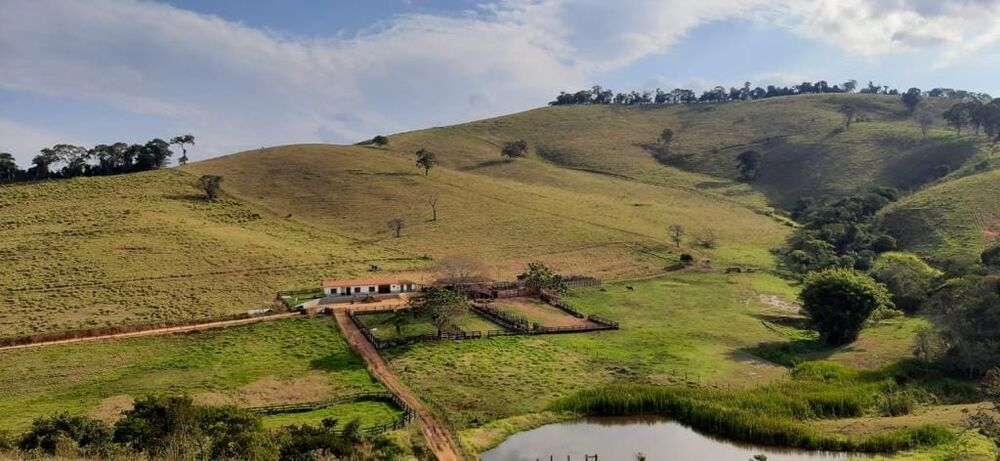 Terreno, 130 hectares - Foto 3