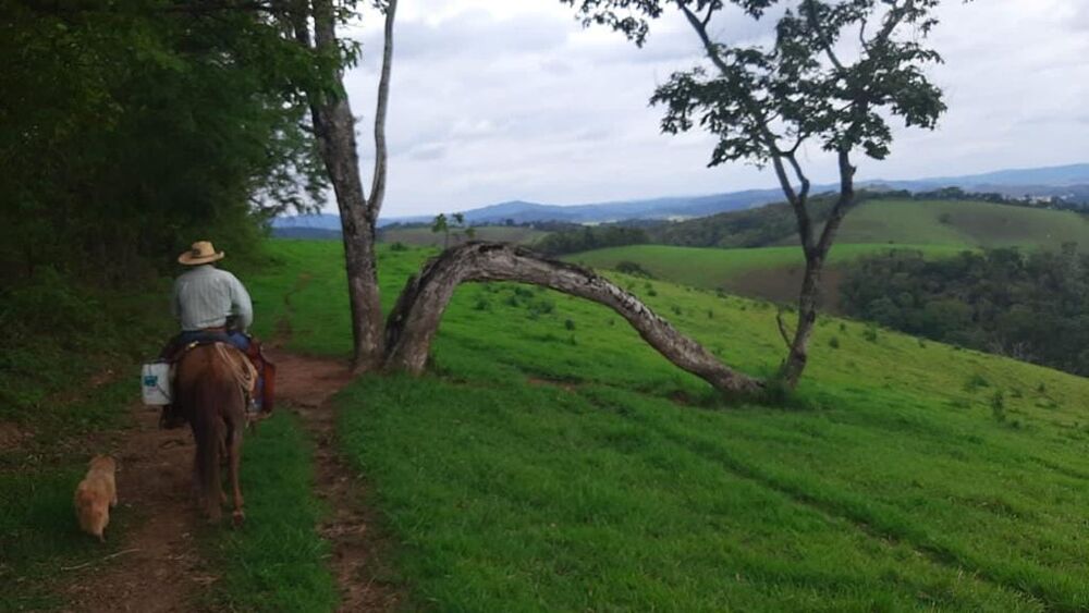 Terreno, 130 hectares - Foto 1