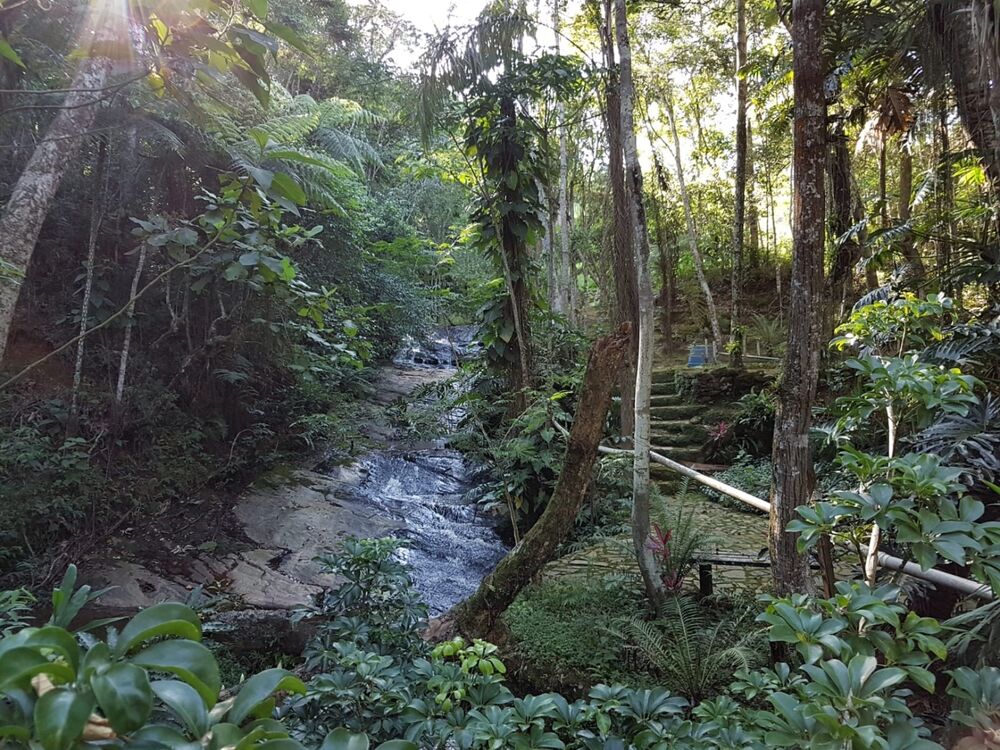 Sítio, 1 quarto, 6 hectares - Foto 1