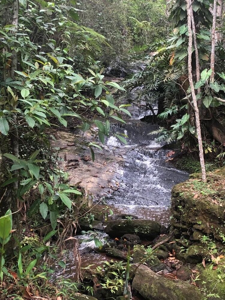 Sítio, 1 quarto, 6 hectares - Foto 4