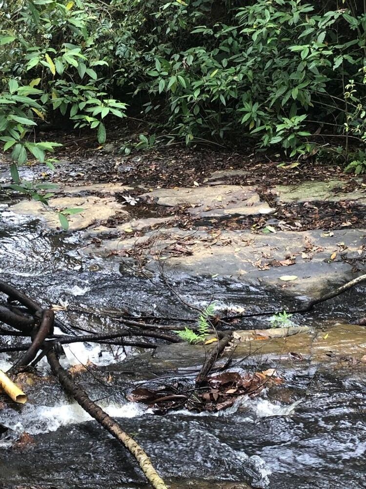 Sítio, 1 quarto, 6 hectares - Foto 3