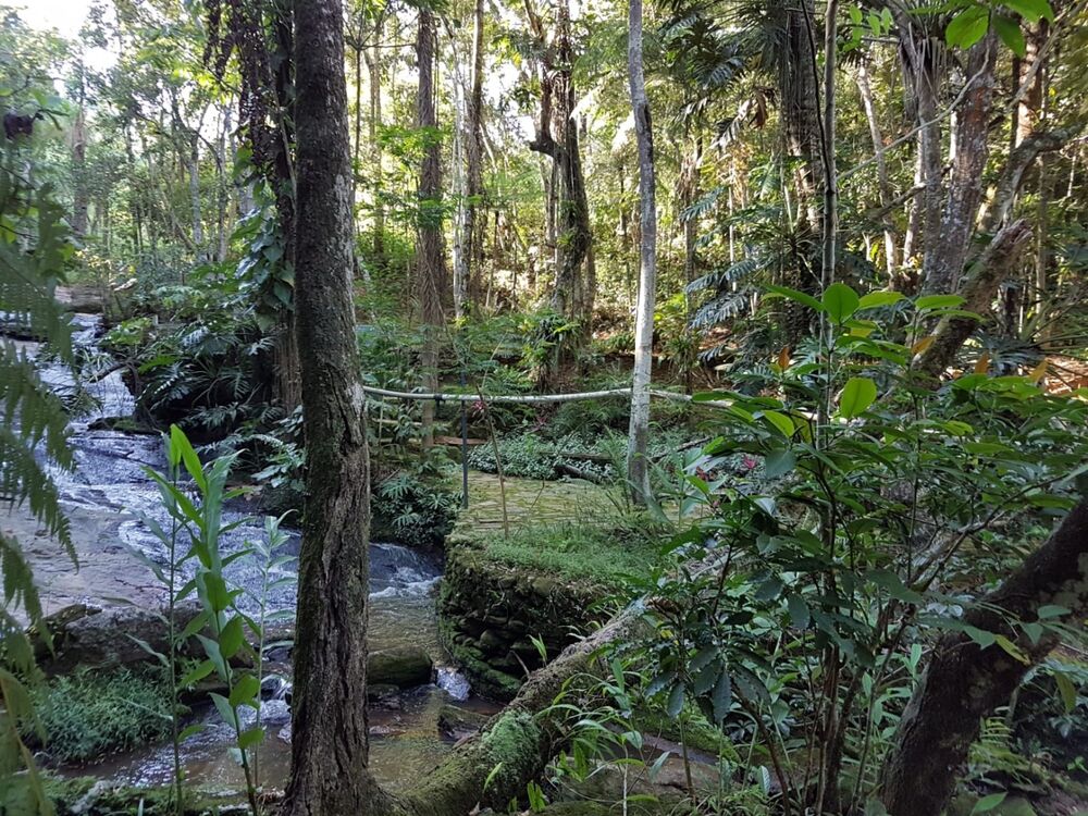 Sítio, 1 quarto, 6 hectares - Foto 5