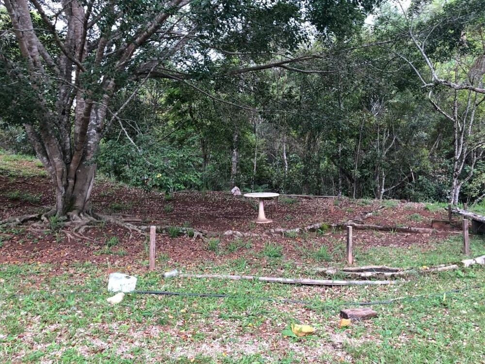 Sítio, 1 quarto, 6 hectares - Foto 7