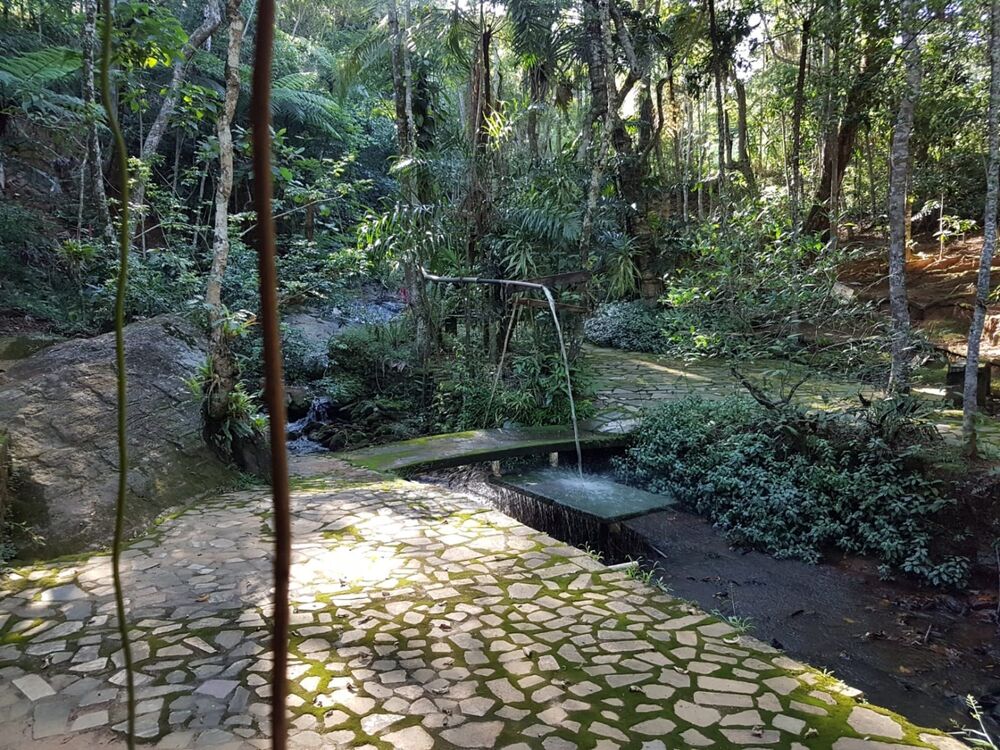 Sítio, 1 quarto, 6 hectares - Foto 8