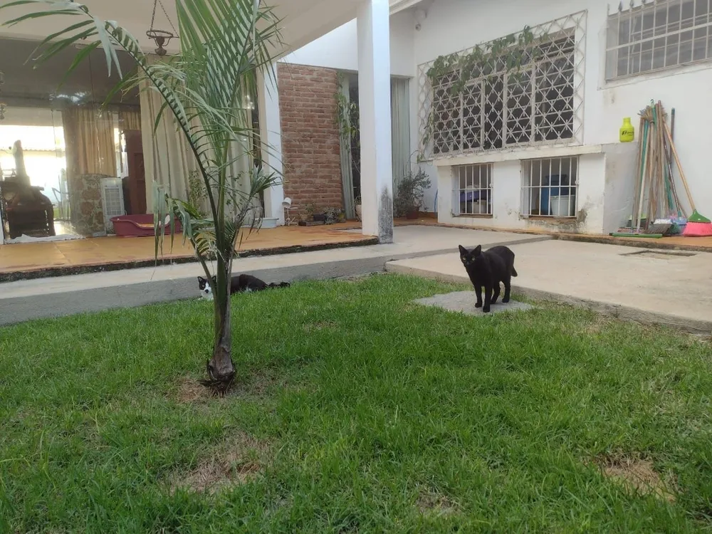 Casa, 4 quartos, 340 m² - Foto 2