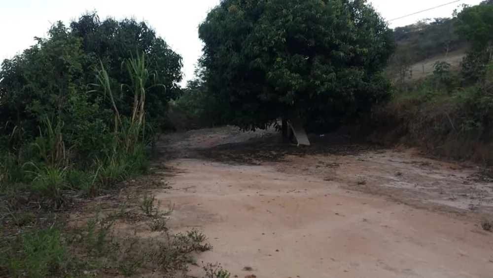 Terreno - Foto 2