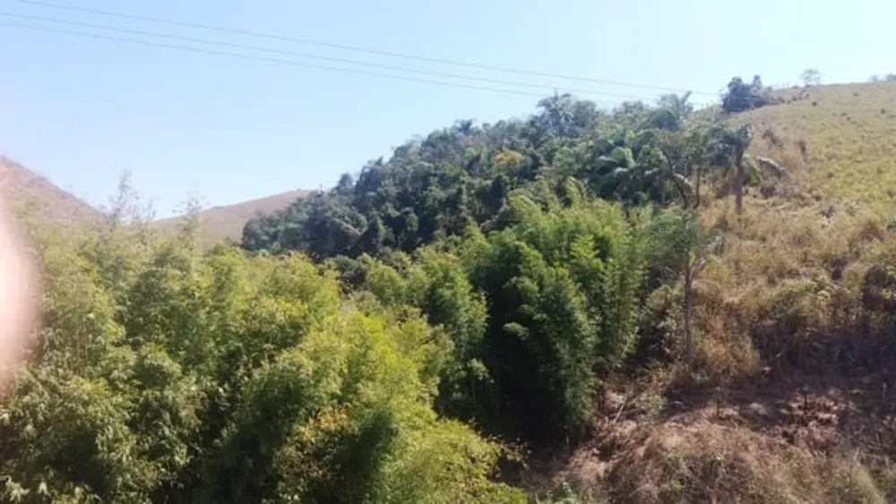 Terreno - Foto 2