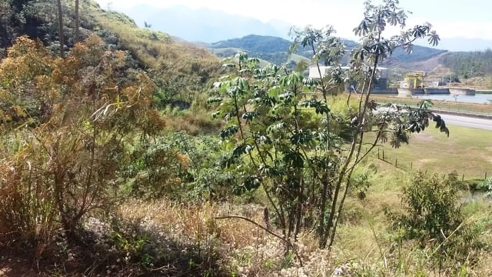 Terreno - Foto 1
