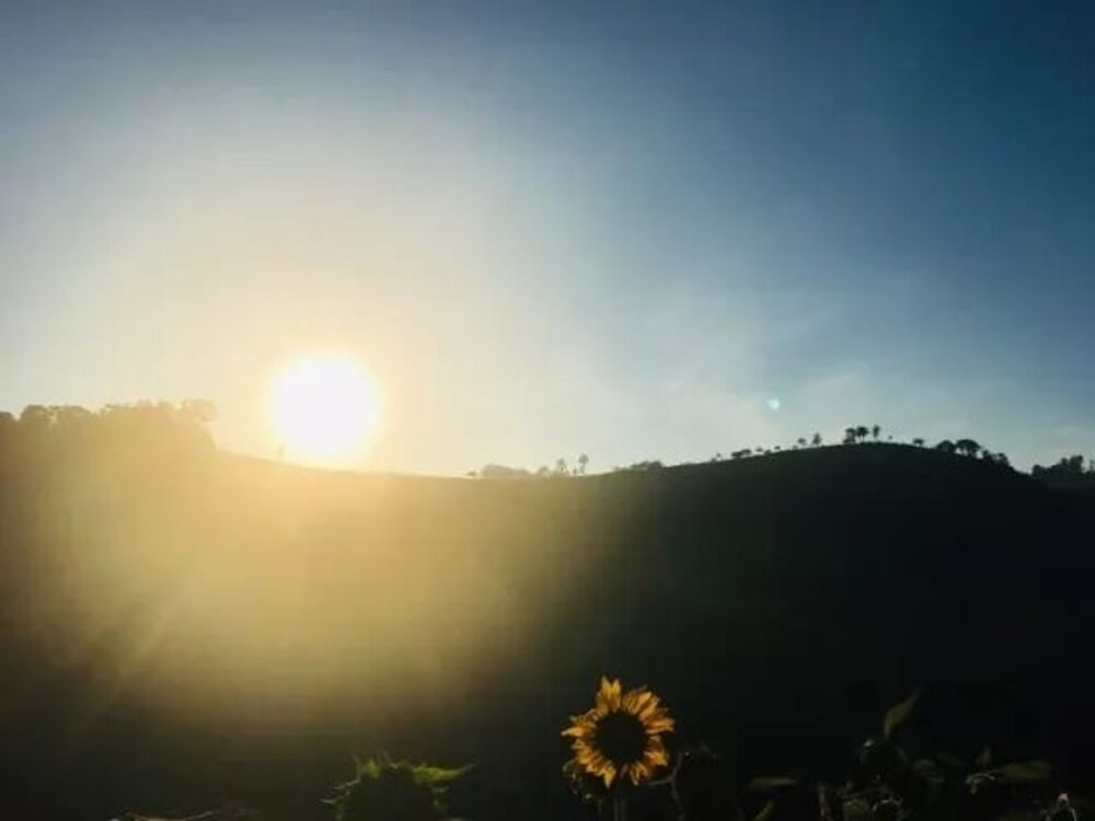 Sítio, 3 quartos, 2000 m² - Foto 7