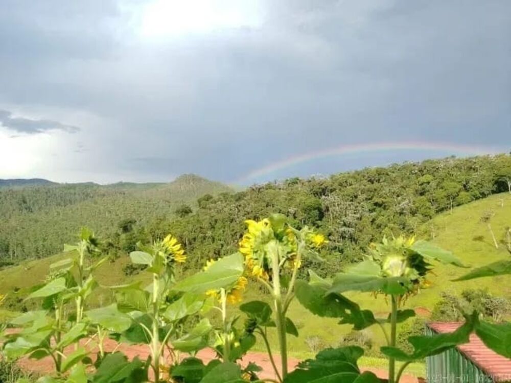 Sítio, 3 quartos, 2000 m² - Foto 6