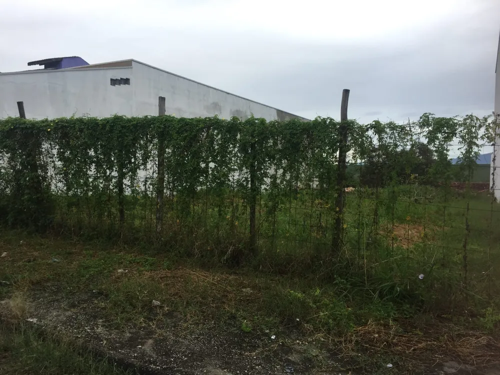 Terreno, 250 m² - Foto 3