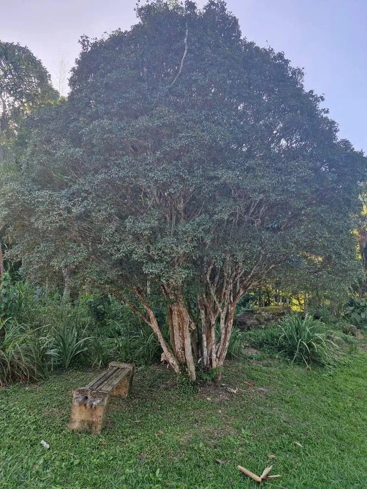 Chácara, 4 quartos, 5 hectares - Foto 1