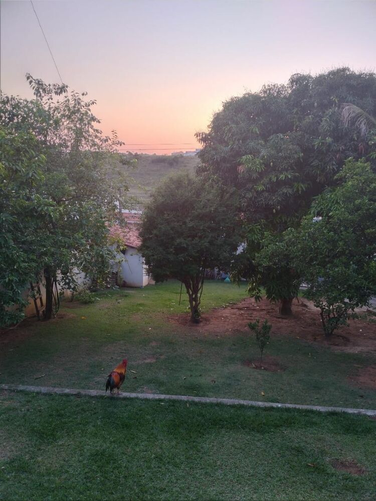 Chácara à venda com 3 quartos, 128m² - Foto 4
