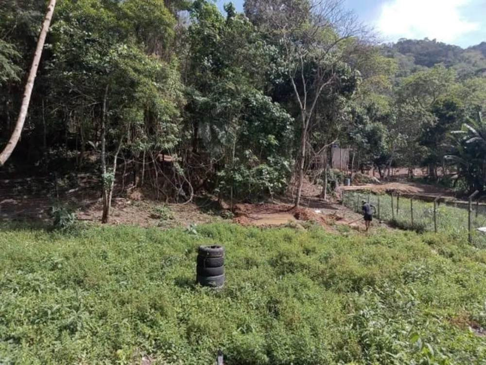 Terreno, 2 hectares - Foto 2