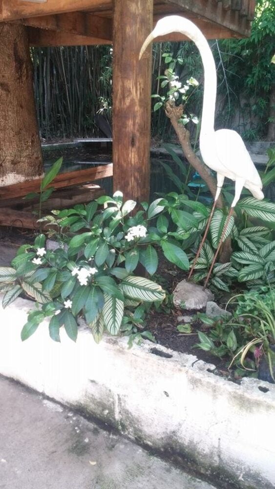 Casa, 9 quartos, 600 m² - Foto 4