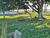 Sítio, 2 quartos, 5 hectares - Foto 4