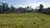 Sítio, 2 quartos, 5 hectares - Foto 3