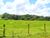 Sítio, 2 quartos, 41 hectares - Foto 2