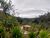Fazenda-Sítio-Chácara, 201 hectares - Foto 4