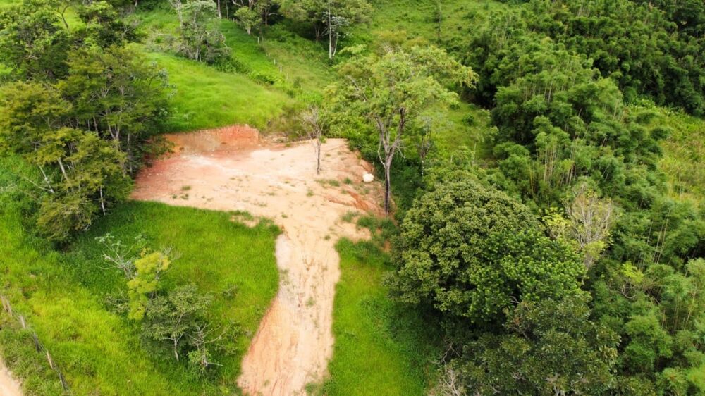 Terreno, 2 hectares - Foto 1