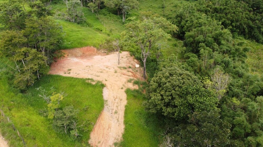 Terreno, 2 hectares - Foto 2
