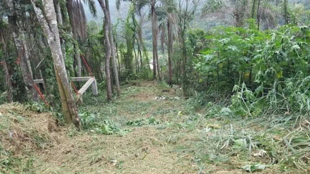 Terreno, 1200 m² - Foto 2