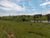 Terreno, 12 hectares - Foto 2