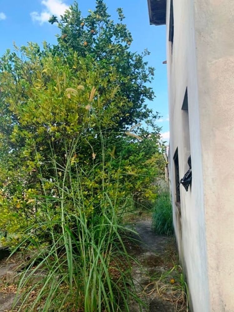 Chácara à venda com 1 quarto, 100m² - Foto 14