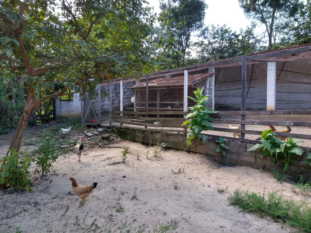 Sítio, 2 quartos, 7 hectares - Foto 4
