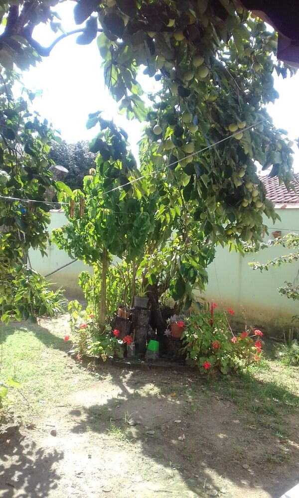 Casa, 3 quartos, 97 m² - Foto 6