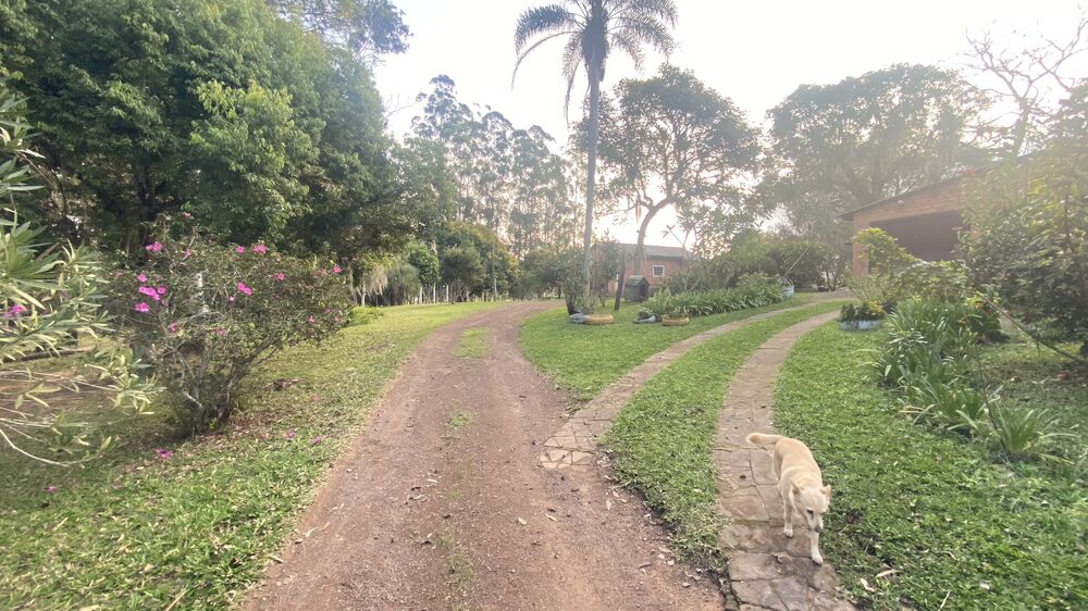 Sítio, 5 quartos, 8 hectares - Foto 19