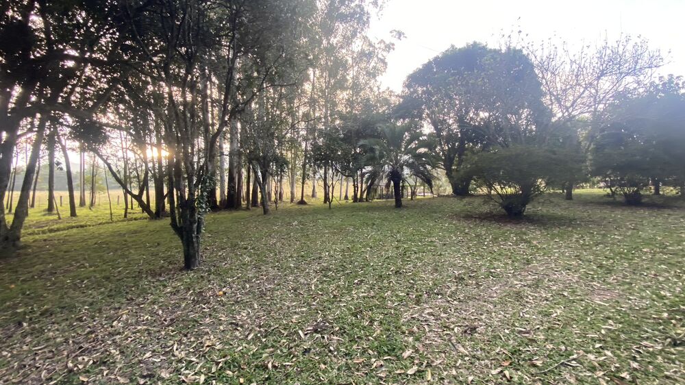 Sítio, 5 quartos, 8 hectares - Foto 11