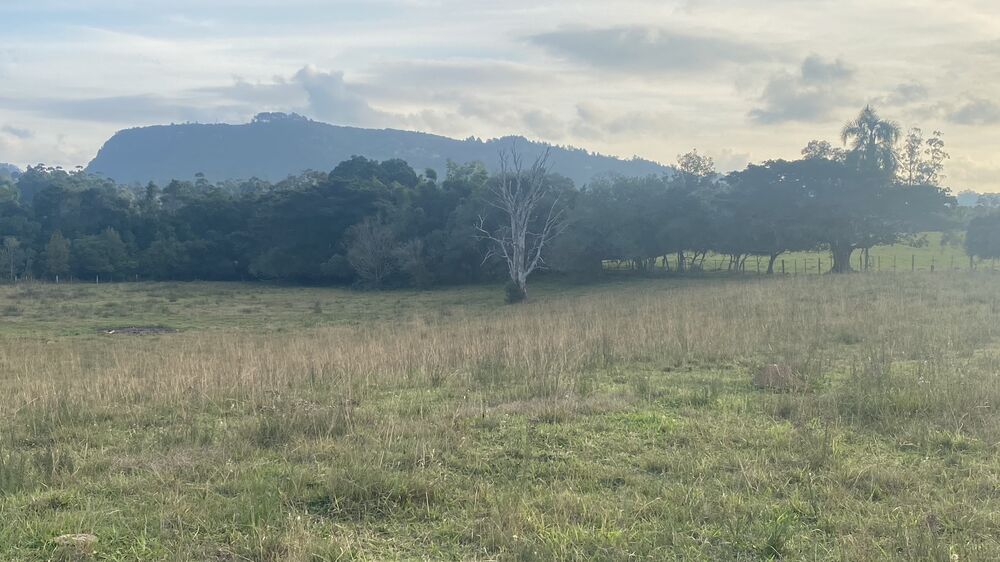 Sítio, 5 quartos, 8 hectares - Foto 4