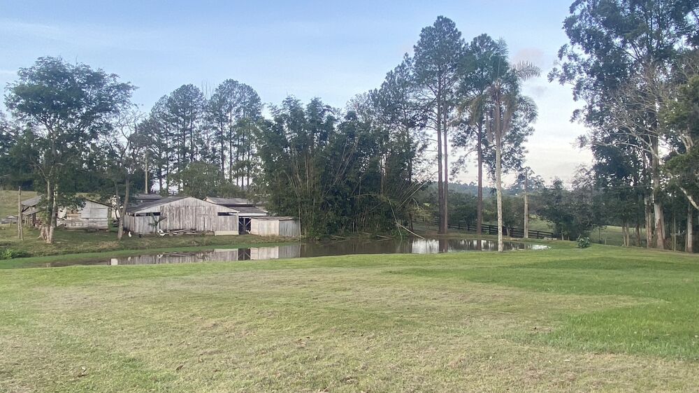 Sítio, 5 quartos, 8 hectares - Foto 17