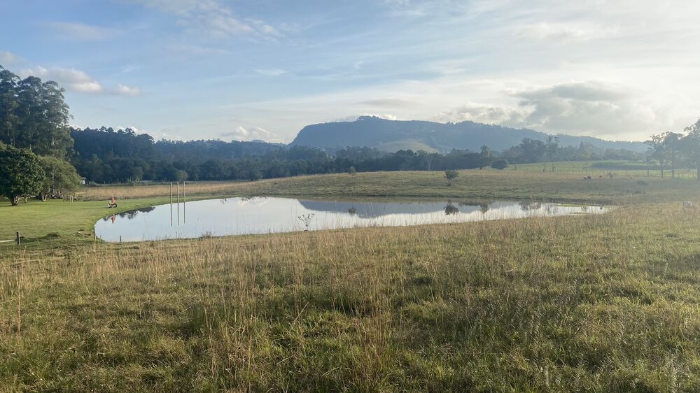 Sítio, 5 quartos, 8 hectares - Foto 1