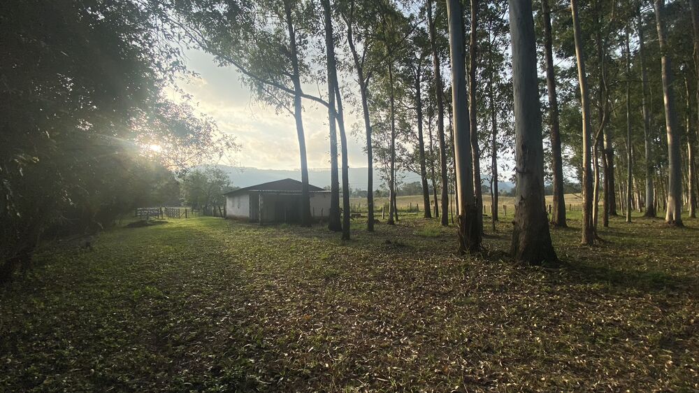 Sítio, 5 quartos, 8 hectares - Foto 7