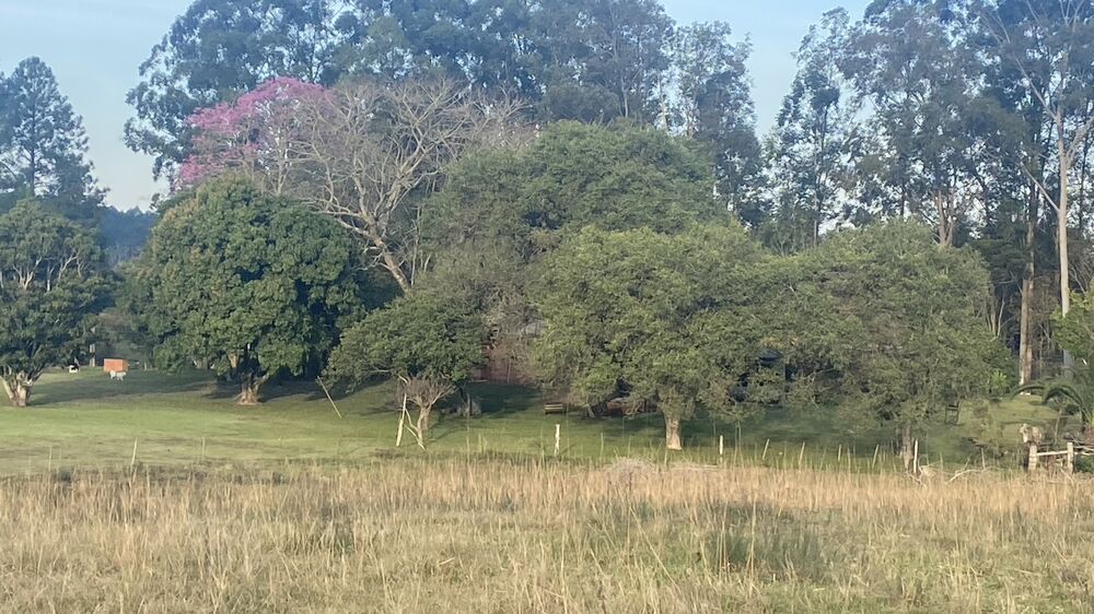 Sítio, 5 quartos, 8 hectares - Foto 6