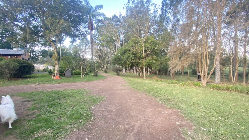 Sítio, 5 quartos, 8 hectares - Foto 13