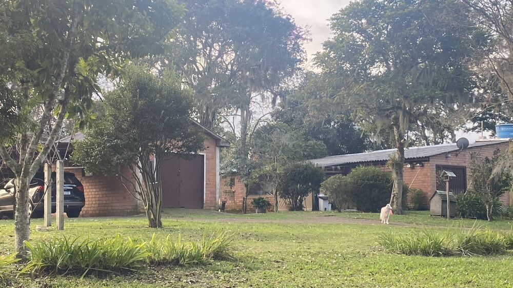 Sítio, 5 quartos, 8 hectares - Foto 12