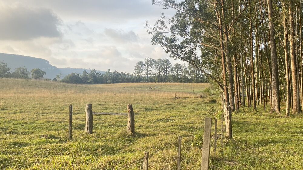 Sítio, 5 quartos, 8 hectares - Foto 8