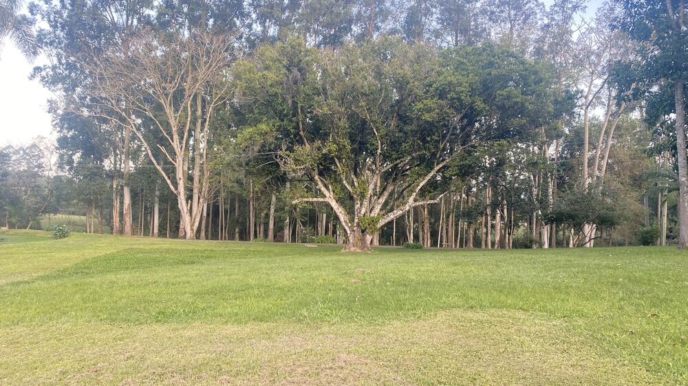Sítio, 5 quartos, 8 hectares - Foto 18