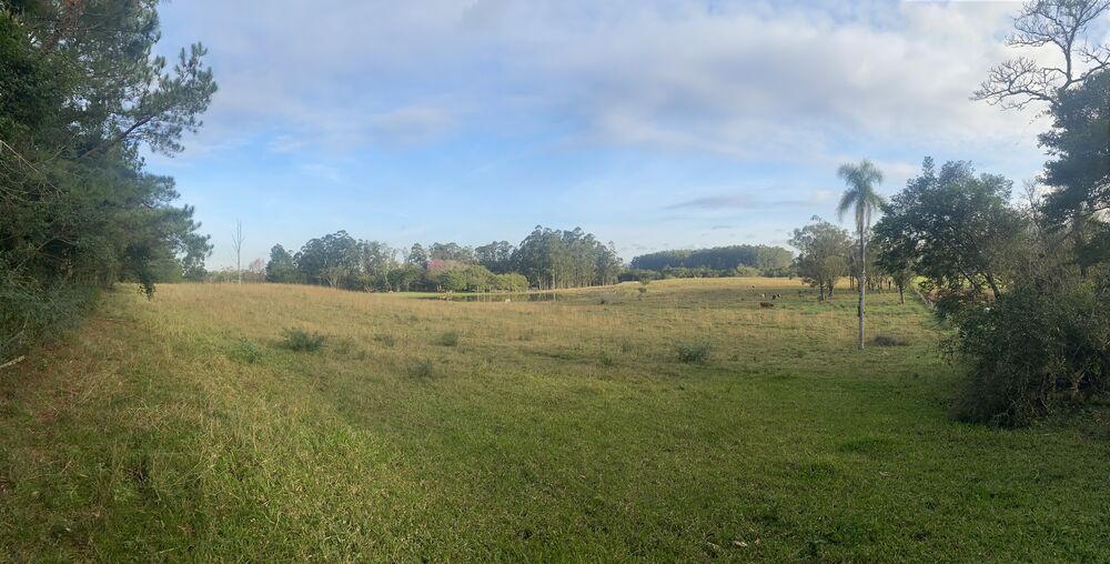 Sítio, 5 quartos, 8 hectares - Foto 2