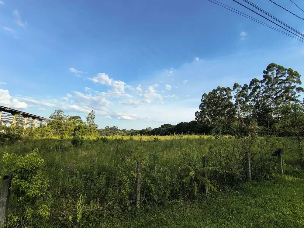 Terreno, 4 hectares - Foto 4