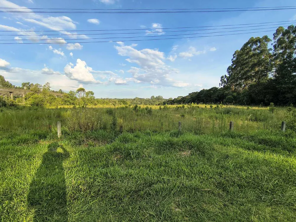 Terreno, 4 hectares - Foto 1