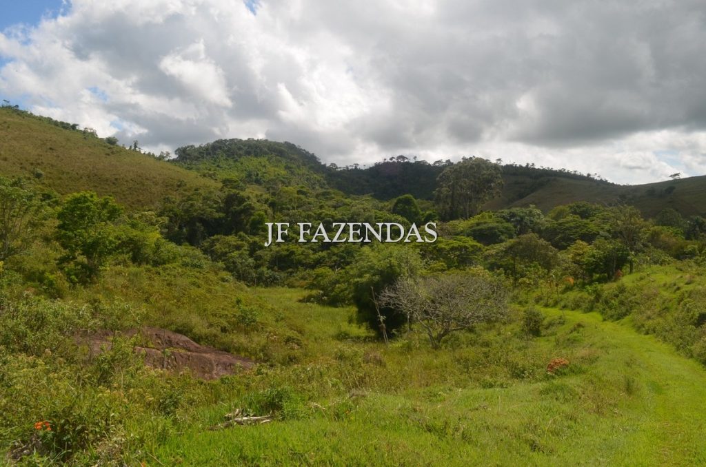 Fazenda à venda, 48hectare - Foto 3