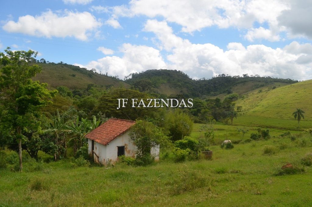 Fazenda à venda, 48hectare - Foto 6