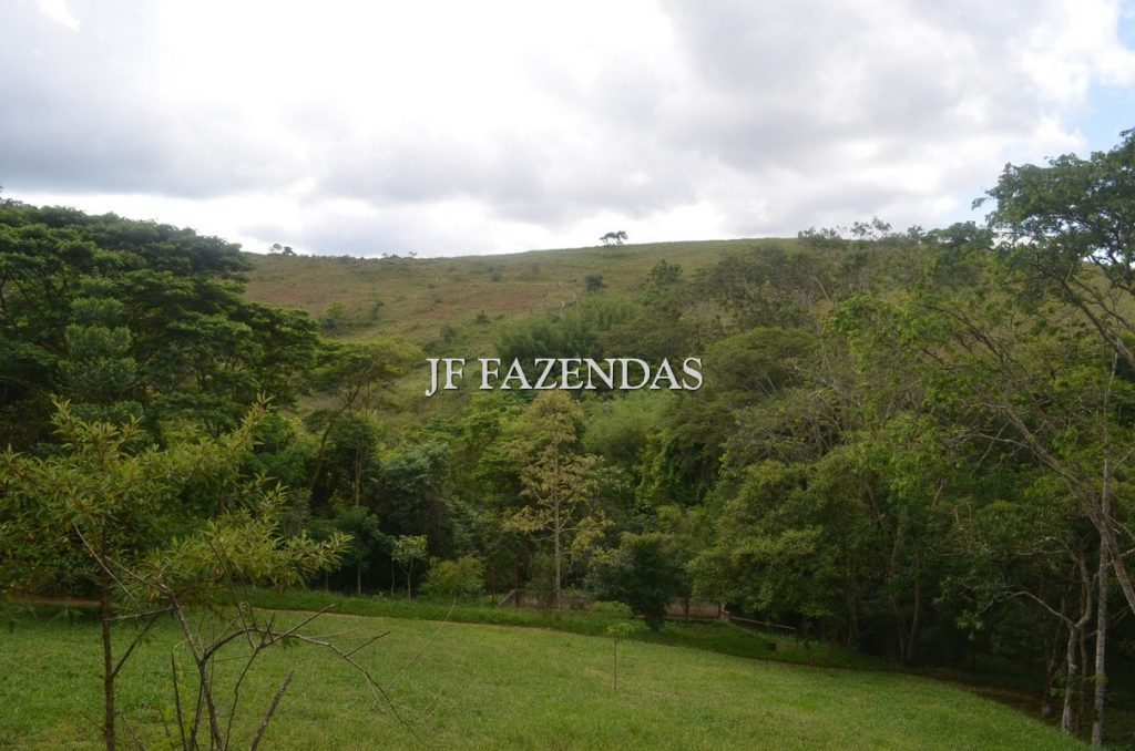 Fazenda à venda, 48hectare - Foto 7