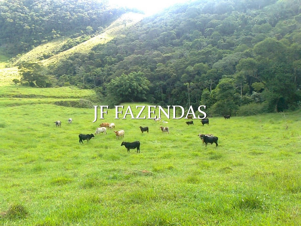 Fazenda à venda, 936000m² - Foto 1